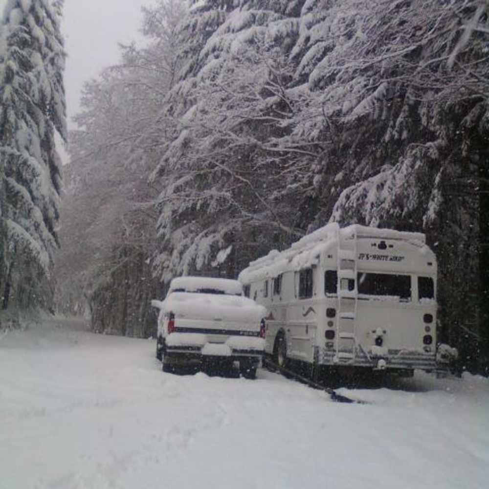 Meet your Posher, Rose mary